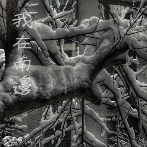 香焦app成人线上观看
