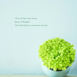 香焦app成人线上观看
